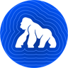 APE