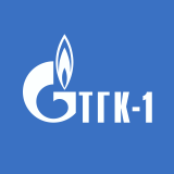 Shares TGK-1 (TGKA)